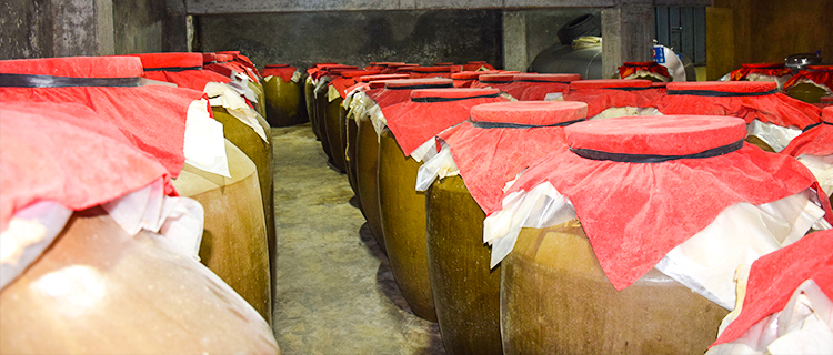 什么是“三高”、“三长”