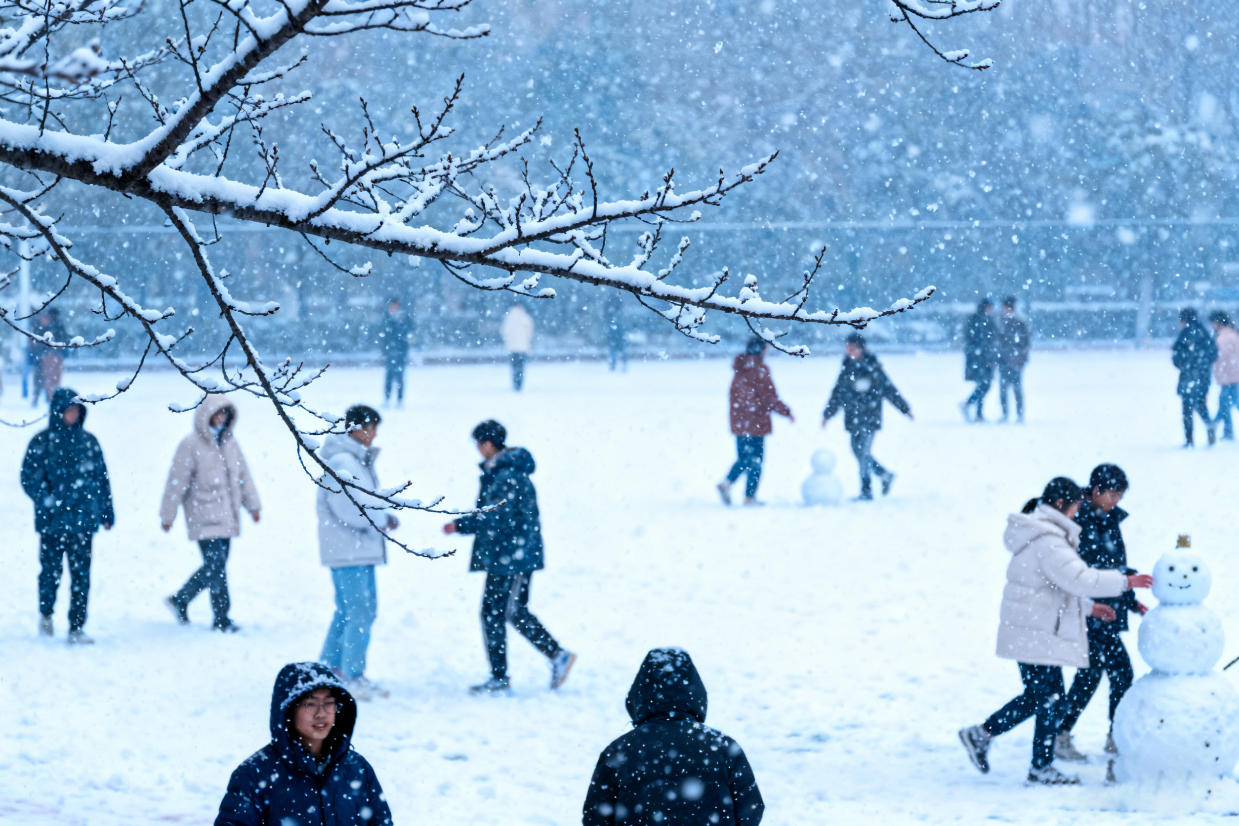 小雪至，冬渐浓：愿岁月安暖，顺问冬安