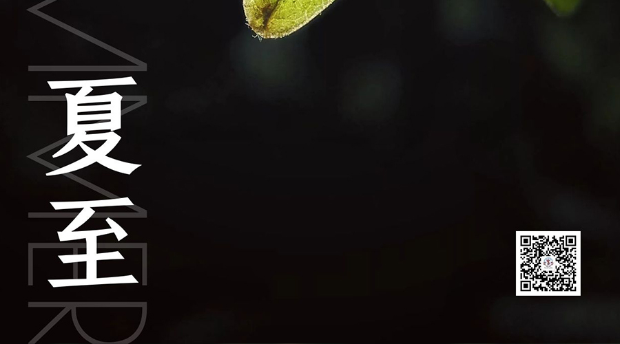 最长的白昼，遇见天长地久